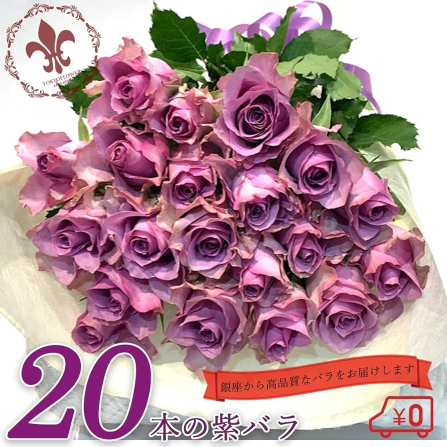 Amazon｜紫バラ20本の花束 生花 ムラサキバラ 東京銀座